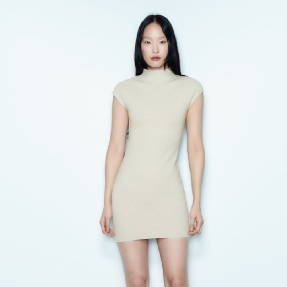 Zara - Short Stretch Knit Dress